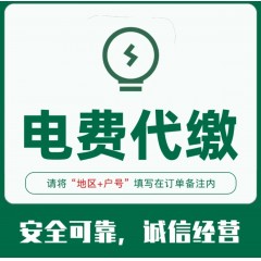 【每月500元*120期】翱翔蓝天电费代缴0.1折预付9.9折下单（一概挂单预付）