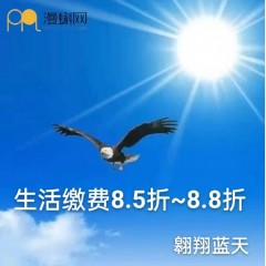 【翱翔蓝天】话费每月100*12期=1200元，8.6折预付下单